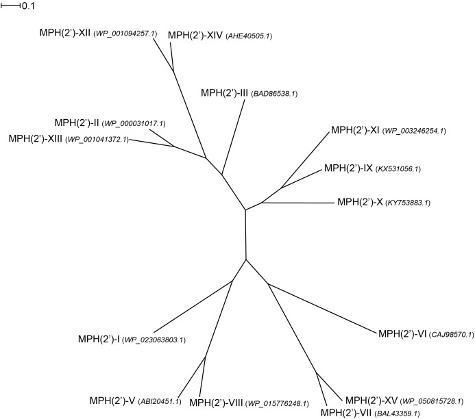 FIGURE 4