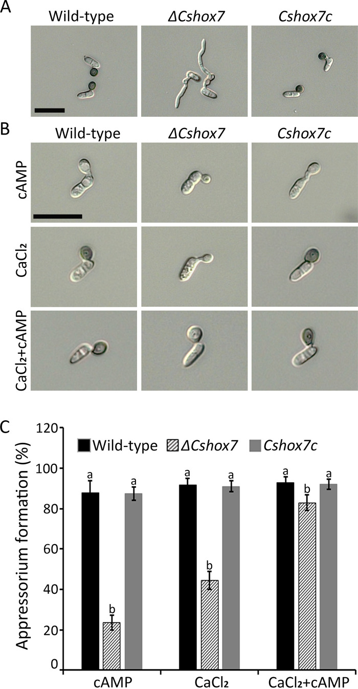 FIG 3