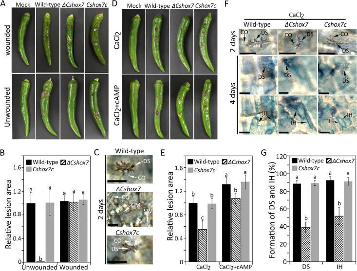 FIG 4