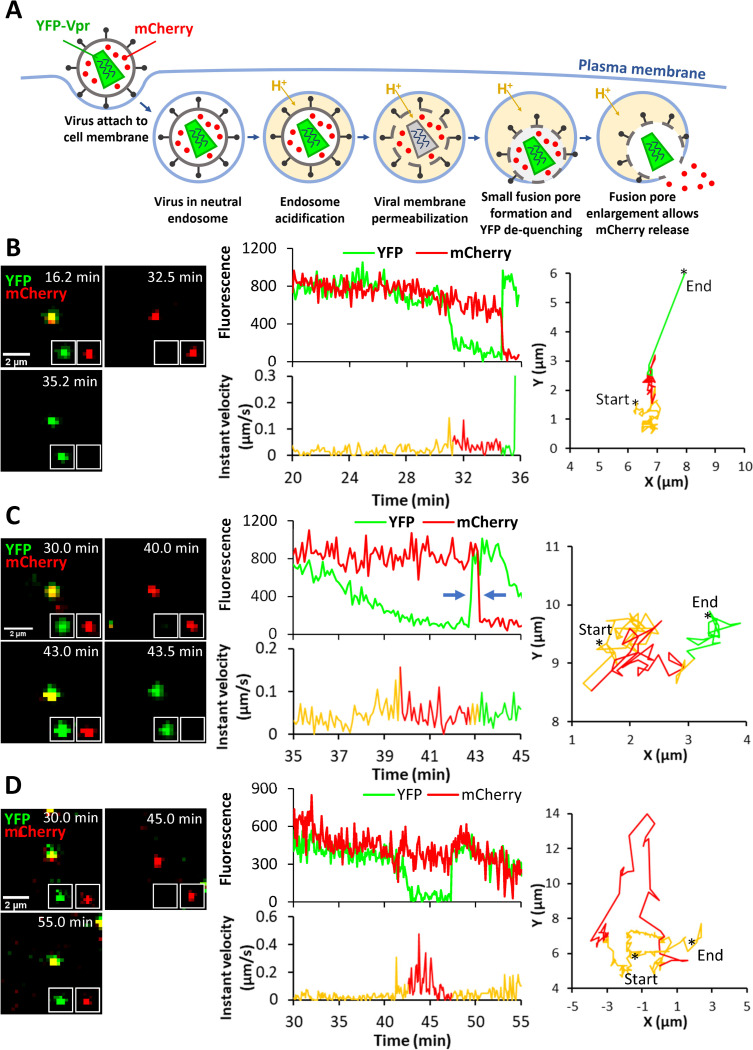 Fig 4