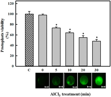 Fig. 1