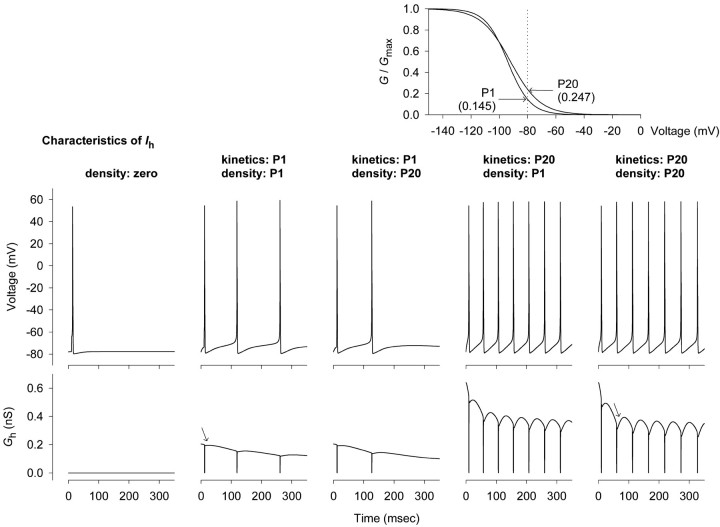 Fig. 12.