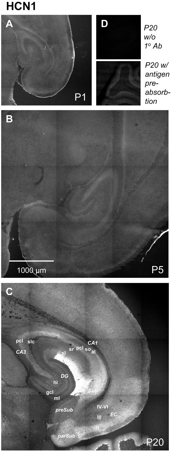 Fig. 9.