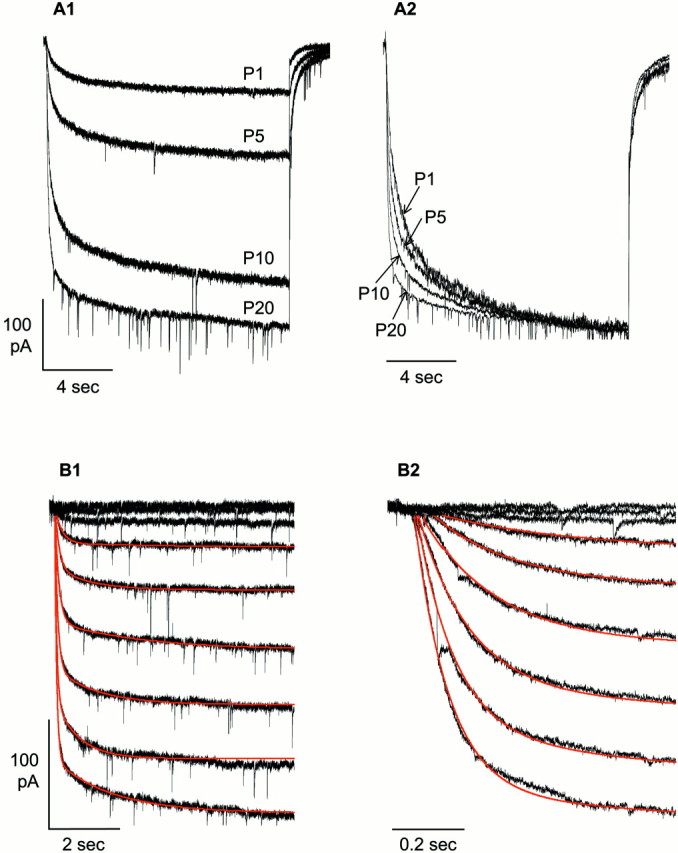 Fig. 5.