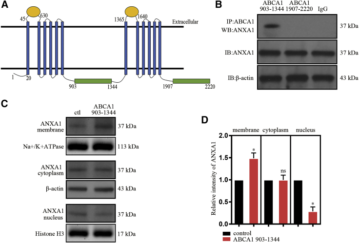 Figure 4