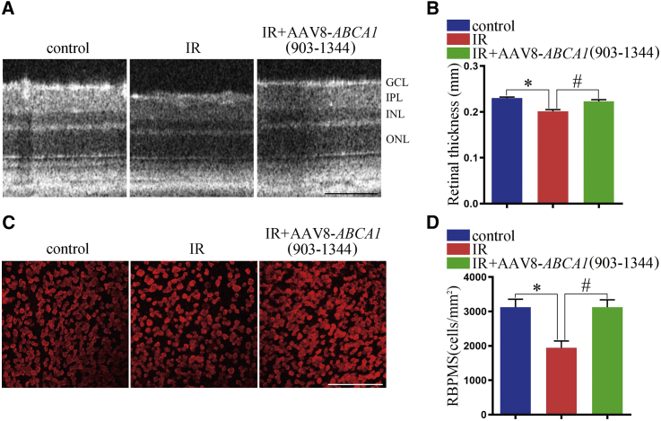 Figure 6