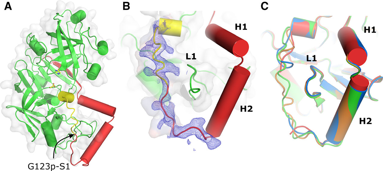 Fig. 2.