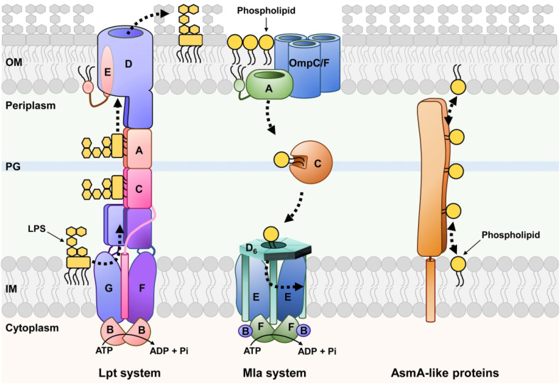 Figure 1.