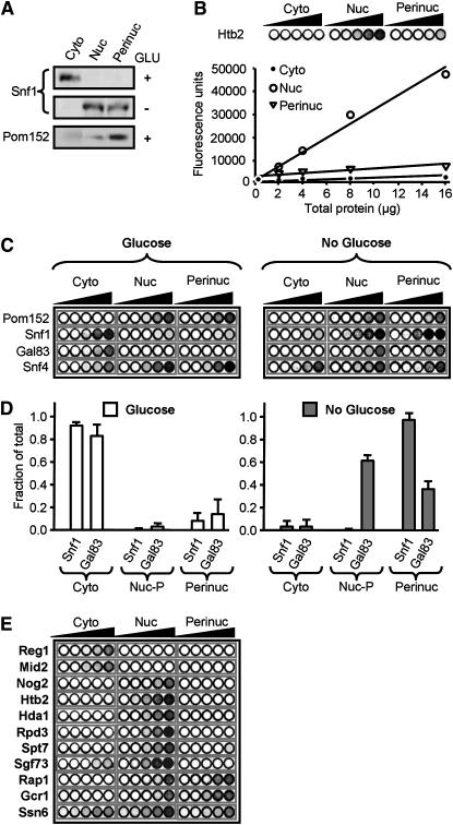 Figure 2.—