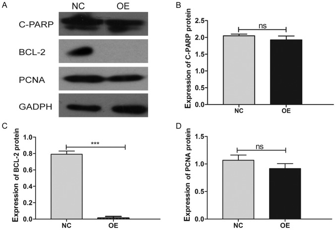 Figure 10.