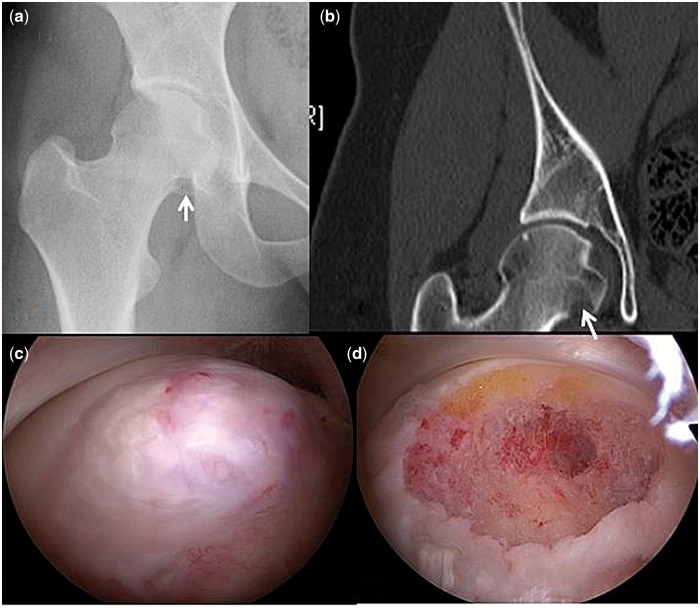 Fig. 1.
