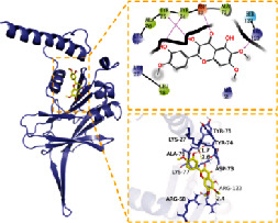 graphic file with name BMRI2022-5975223.tab2.i002.jpg
