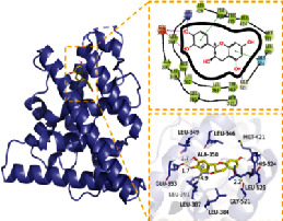 graphic file with name BMRI2022-5975223.tab2.i008.jpg