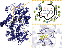 graphic file with name BMRI2022-5975223.tab2.i004.jpg