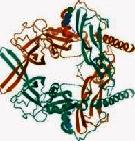 graphic file with name BMRI2022-5975223.tab2.i001.jpg