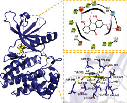 graphic file with name BMRI2022-5975223.tab2.i010.jpg