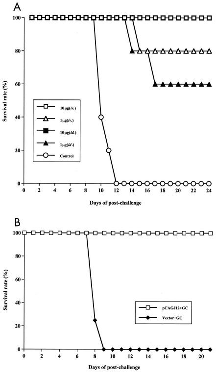 FIG. 6.