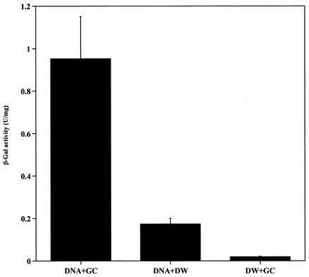 FIG. 7.