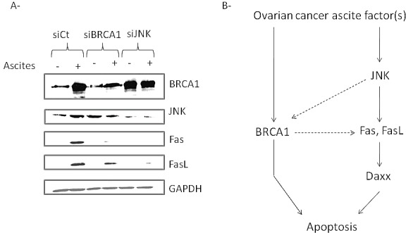 Fig.6