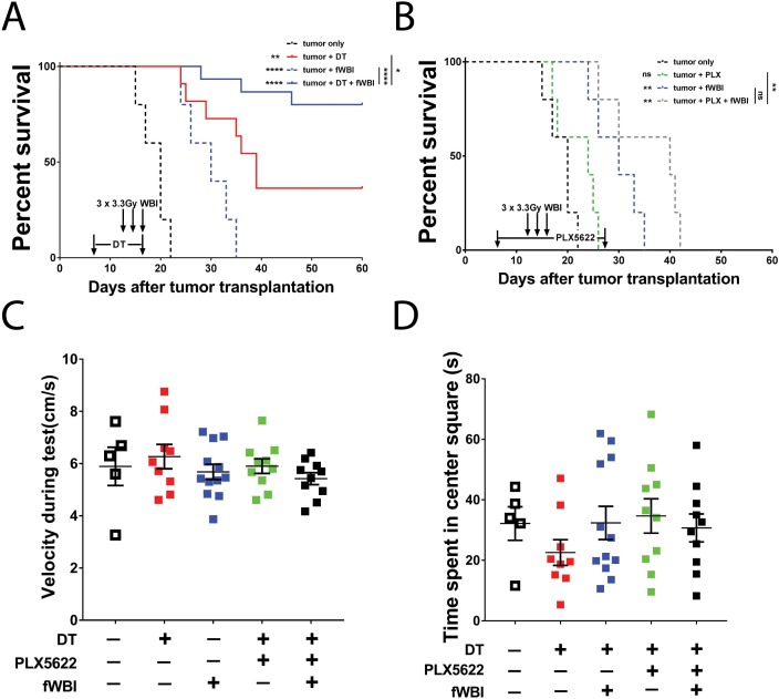 Figure 2—figure supplement 1.