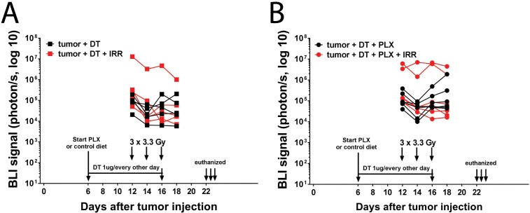 Figure 3—figure supplement 1.