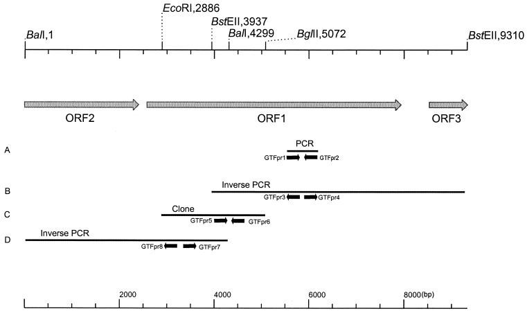 FIG. 1.