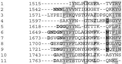 FIG. 6.