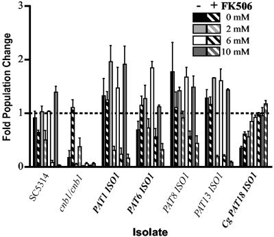 FIG. 3.