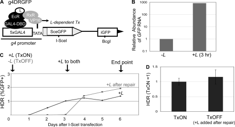 FIGURE 4.