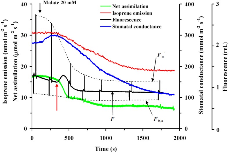 Figure 2.