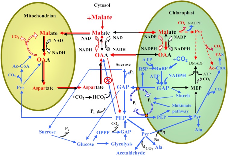 Figure 6.