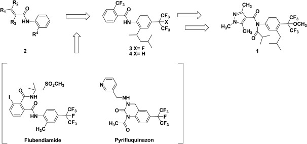 Scheme 1. Discovery of pyflubumide.