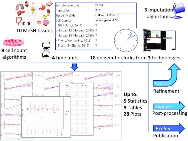 Graphical Abstract