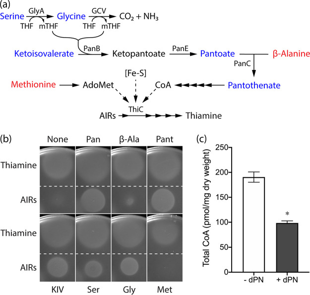 FIG 6