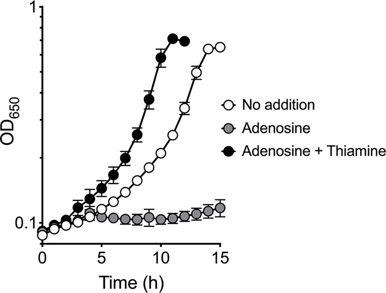 FIG 4