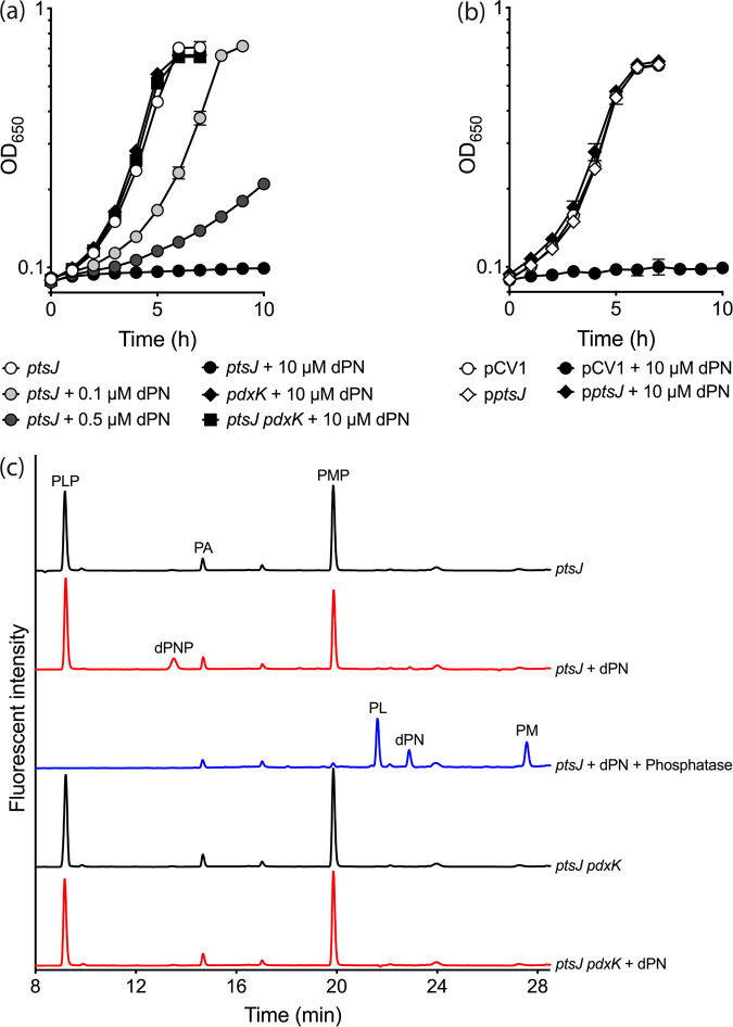 FIG 2