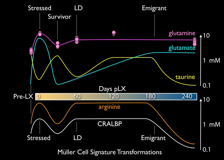 Figure 18