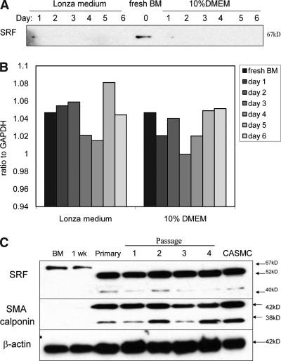 FIG. 6.