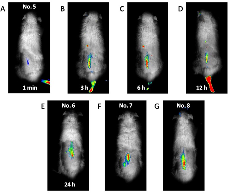 Fig. (2)