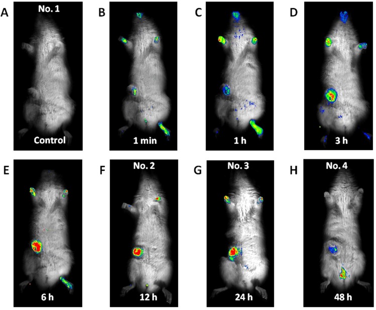 Fig. (1)