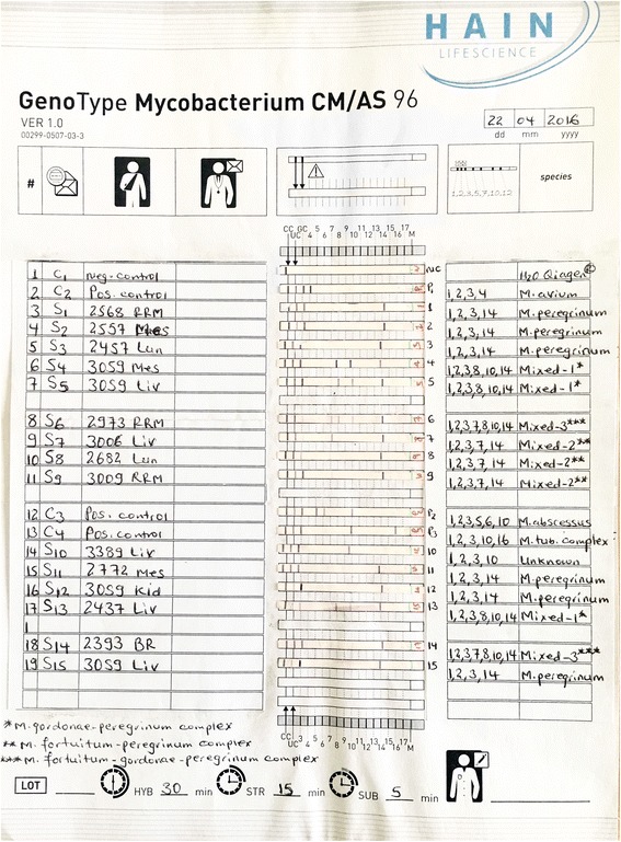 Fig. 2