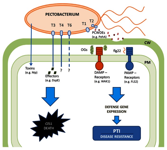 FIGURE 1