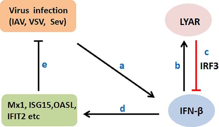 FIG 9