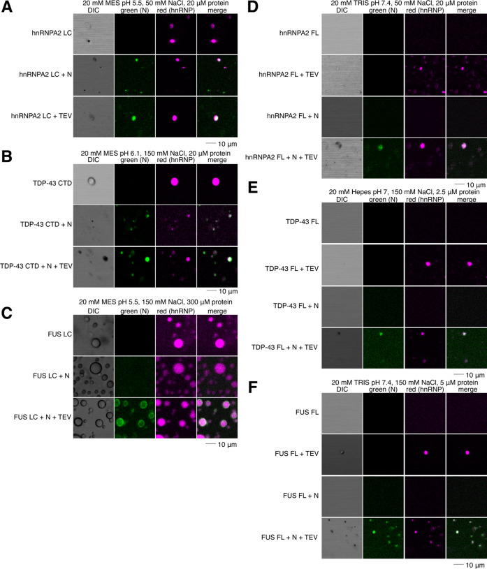 Figure 5: