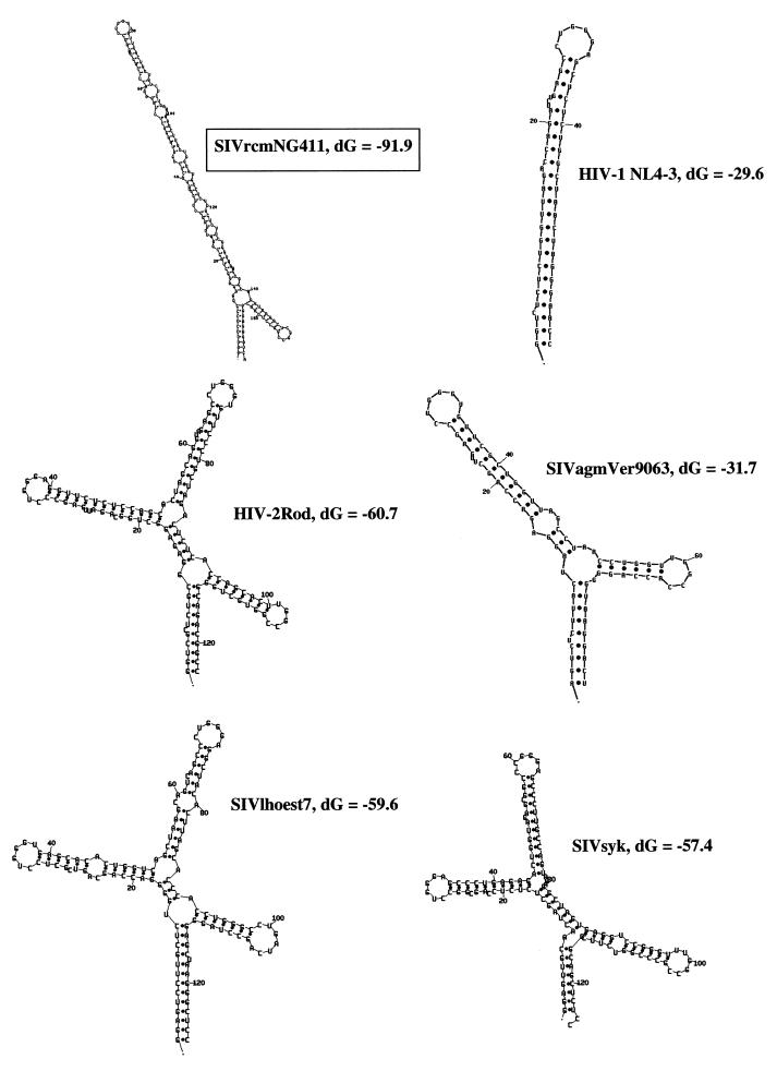 FIG. 3