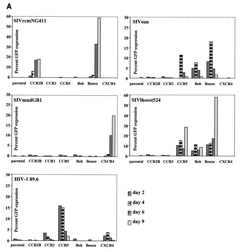 FIG. 7