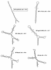FIG. 3