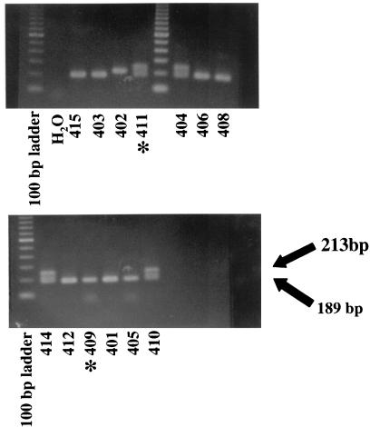 FIG. 8