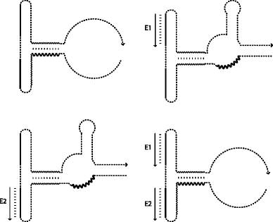 graphic file with name 1758-2946-5-22-i4.gif