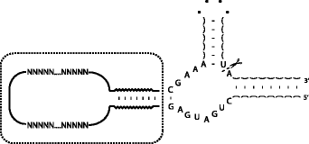 graphic file with name 1758-2946-5-22-i1.gif